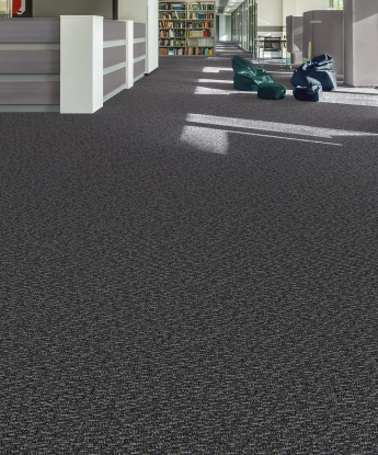 Traction II Carpet